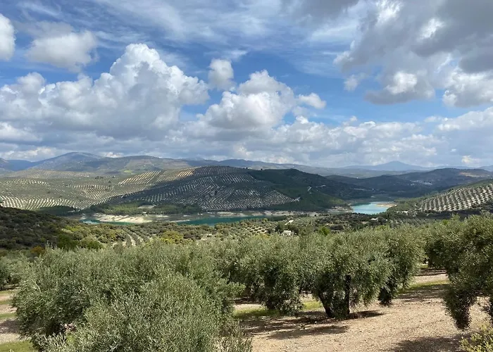 Columbaira