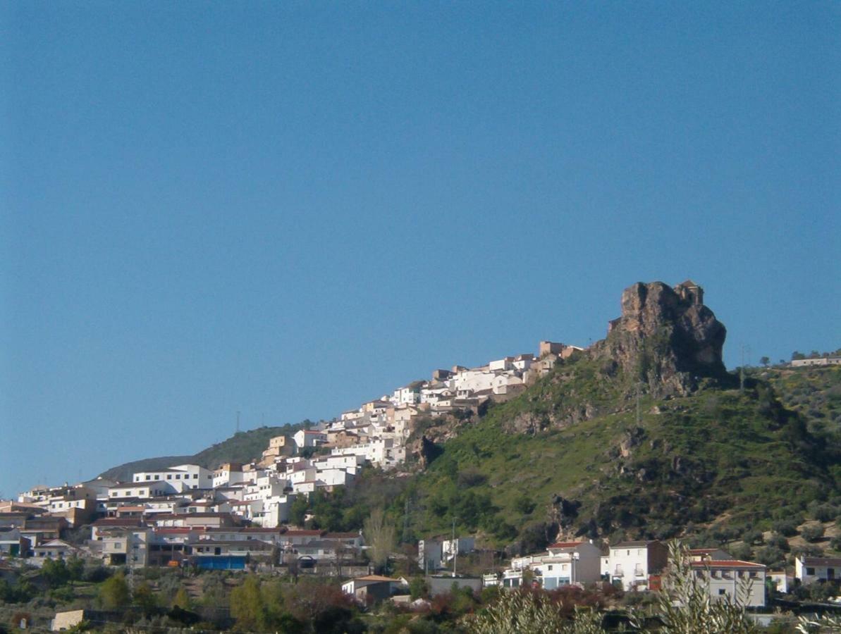 Columbaira Colomera